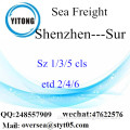 Shenzhen Hafen LCL Konsolidierung zu Sur